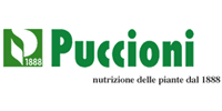 Puccioni 1888 srl